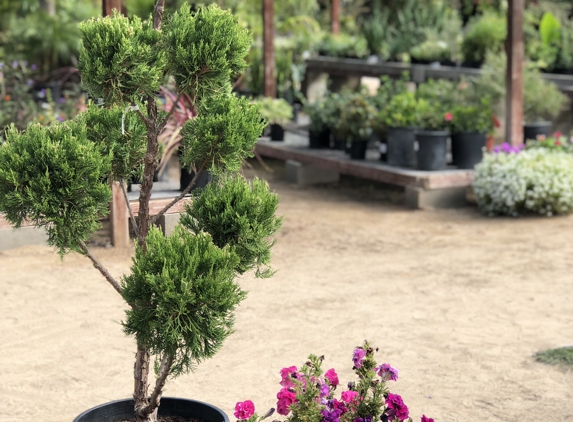 Stepping Stone Nursery - Atwater, CA. I love their selection of plants and trees!