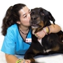 Broward Animal Hospital