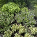 Greenleaf’s Garden Design - Arborists
