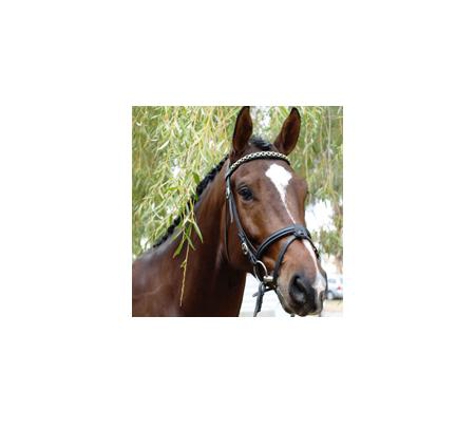 Gooromon Park Riding Centre - Wallaroo, NSW