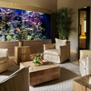 Exotic Aquatic gallery
