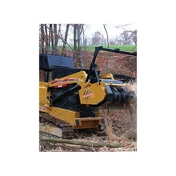 Gallery Image Number 2