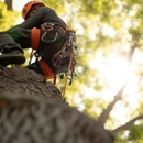 SH General Landscapes - Tree Service