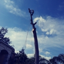 a southernstyle tree sevices - Tree Service