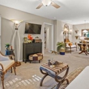 Palmetto Pointe Apartment Homes