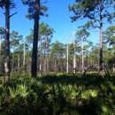 Ochlockonee River State Park - State Parks