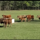 Tyler Farms and Ranch, LLC