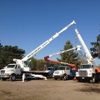 Metro Tree and Stump Service gallery