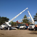 Metro Tree and Stump Service - Tree Service