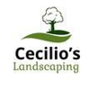 Cecilio’s Landscaping gallery