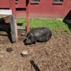 Country fresh farm gallery