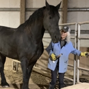Grafton Equestrian Center - Horse Training