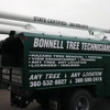 Bonnell Tree Technicians gallery