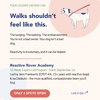 Four Leggers Pet Supplies & Services gallery