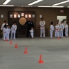 Hino Ryu Martial Arts gallery