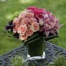 Muscari Flowers And Events