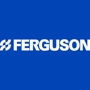 The Ferguson Financial Group