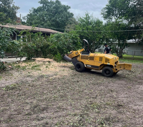 A Better Cut Tree Service - Lakeland, FL