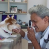 A Family Veterinarian gallery