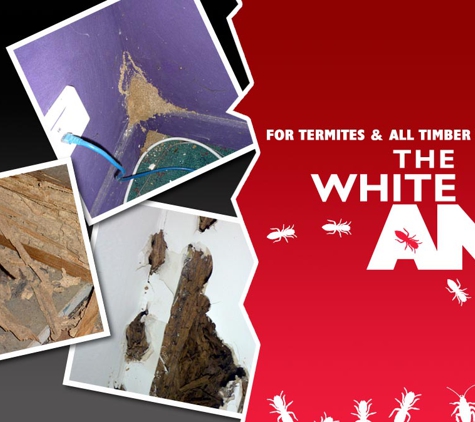 Cure-All White Ant Man. Termites and Timber Pests