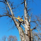 Old Town Tree Service