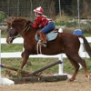 Horseback Riding Lessons / Cathy Weisbecker gallery