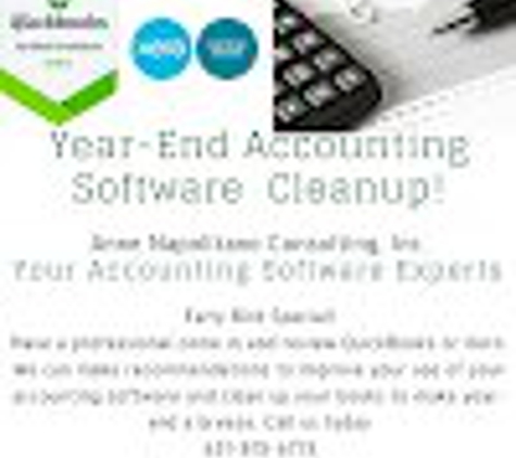 Anne Napolitano Consulting, Inc. - Business Accounting & Advisory Services - Melville, NY