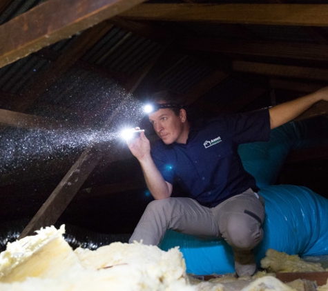 Asset Building & Pest Inspections
