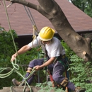 Neighborhood Tree Service - Tree Service