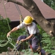 Neighborhood Tree Service