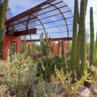 Desert Botanical Garden