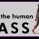 The Human Element Passage - Business Coaches & Consultants