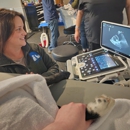 Wedgewood Pet Clinic - Veterinary Clinics & Hospitals