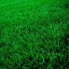 American Turf Technicians gallery