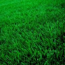 American Turf Technicians - Landscape Designers & Consultants