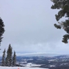 Northstar gallery