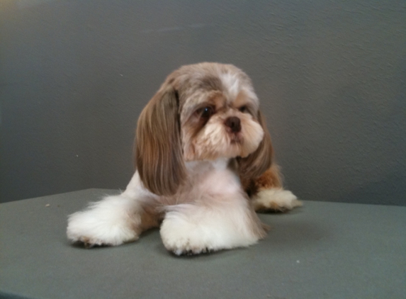 Grooming Table - Dallas, TX