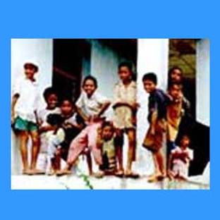 Australian Catholic Social Justice Council - Alexandria, NSW