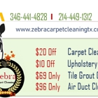 Zebra Carpet Cleaning League City TX