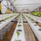 Hains Greenhouses, Inc.
