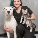 Spring Meadows Animal Hospital - Pet Services