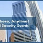 WM Security Solutions