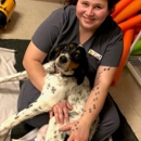 Healing Hands Veterinary Hospital - Veterinarians