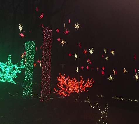 Atlanta Botanical Garden - Atlanta, GA. Xmas