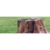Gallery Image Number 6
