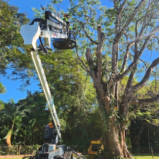 LTM Trees