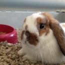 Animal Spa Of Soquel - Pet Grooming