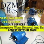 dzm enterprises