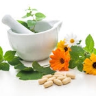 Naturopathy Clinic of Cheyenne