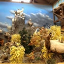 Cabela's - Sporting Goods